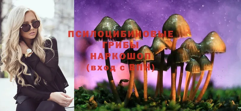 Псилоцибиновые грибы Magic Shrooms  Руза 